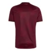 2026 Venezuela Home Jersey