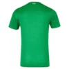 24/25 Ireland Home Jersey
