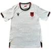 2024-25 Albania Away Jersey